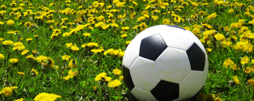 soccer soccer ball