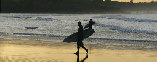 surf board surf board
